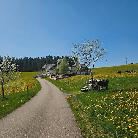 Lorenzenhaeusle Titisee-Neustadt Bagian luar foto