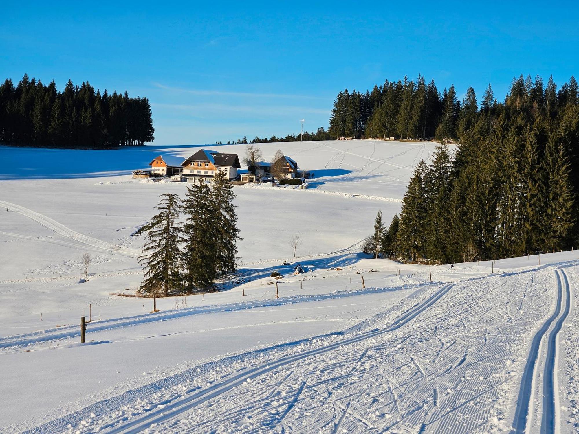Lorenzenhaeusle Titisee-Neustadt Bagian luar foto