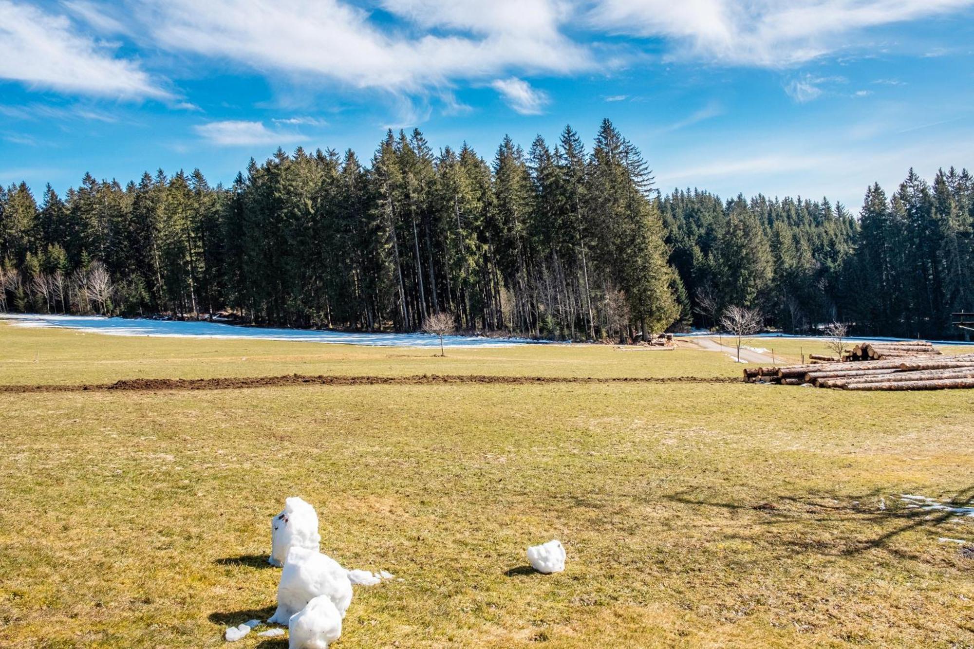 Lorenzenhaeusle Titisee-Neustadt Bagian luar foto