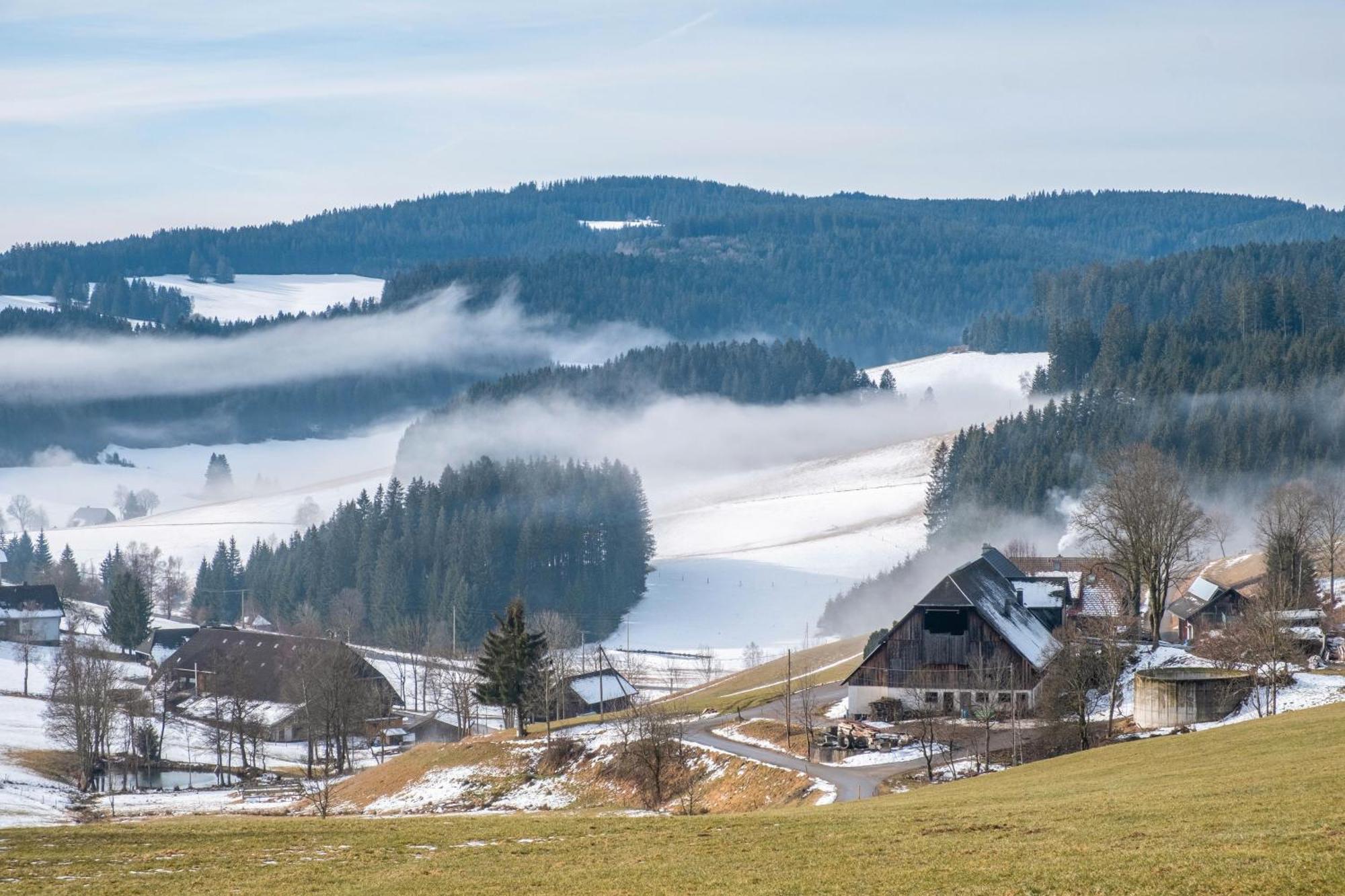 Lorenzenhaeusle Titisee-Neustadt Bagian luar foto