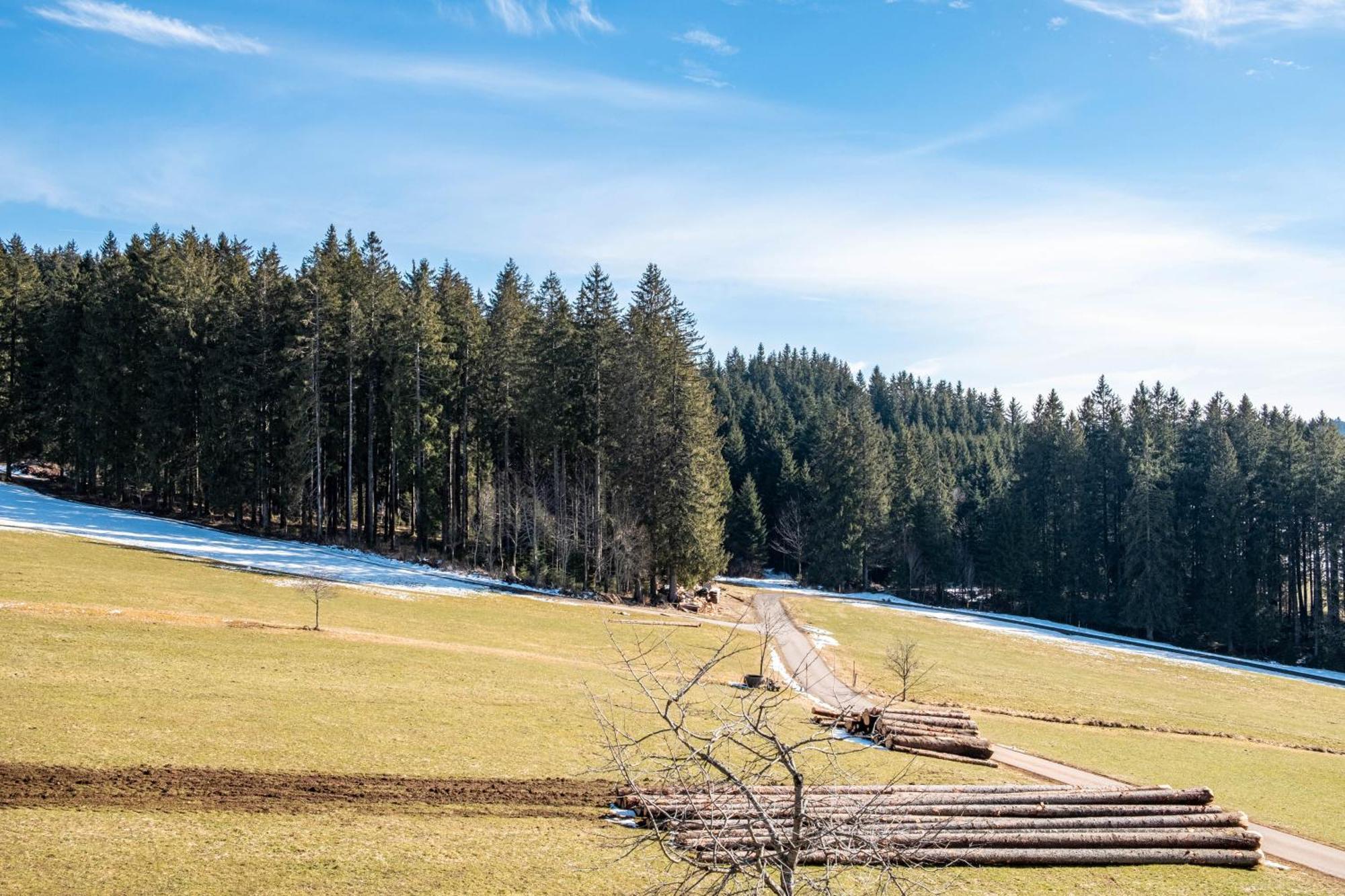 Lorenzenhaeusle Titisee-Neustadt Bagian luar foto