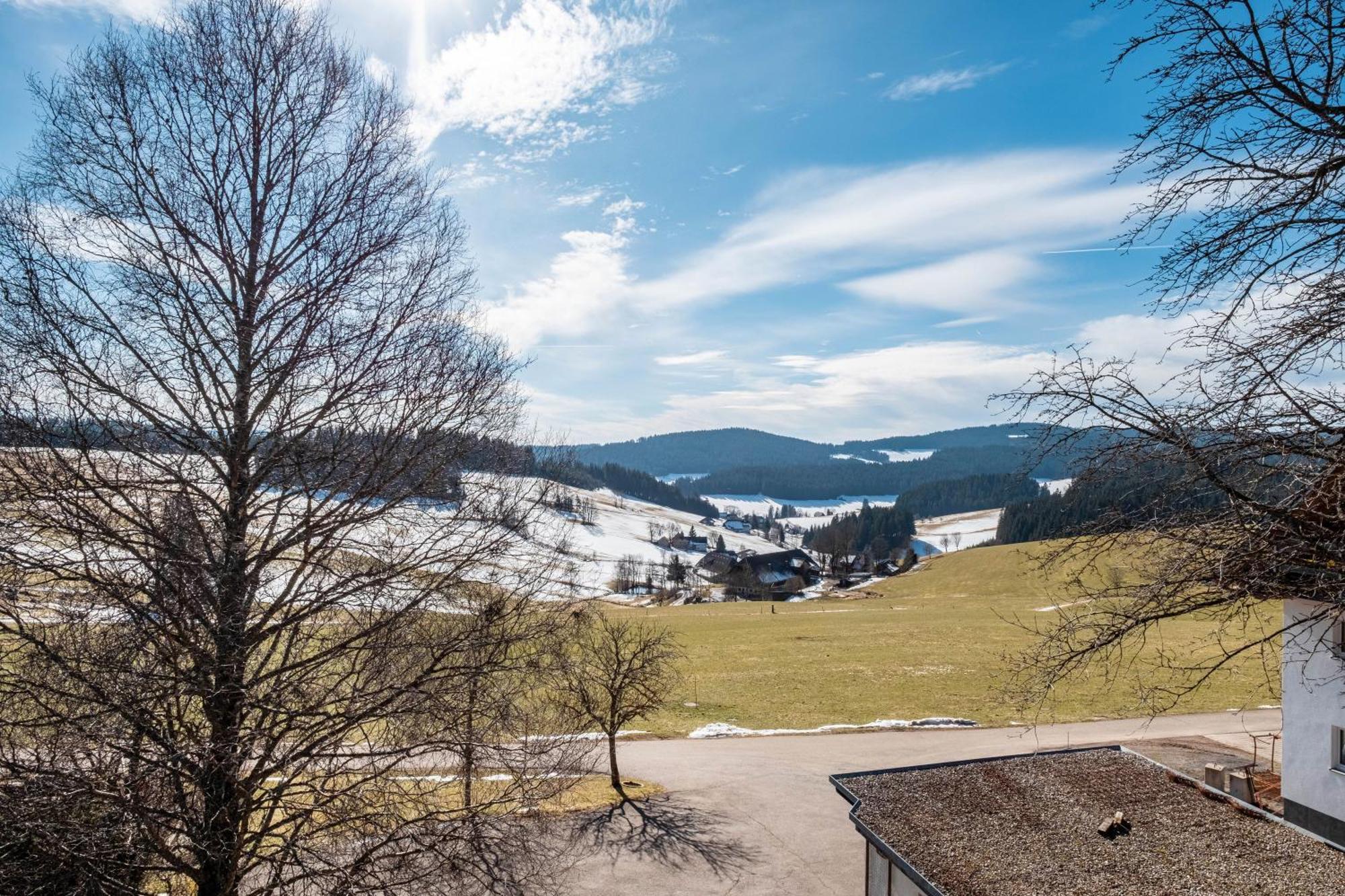 Lorenzenhaeusle Titisee-Neustadt Bagian luar foto