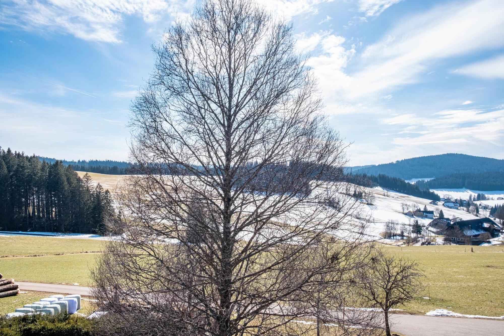 Lorenzenhaeusle Titisee-Neustadt Bagian luar foto