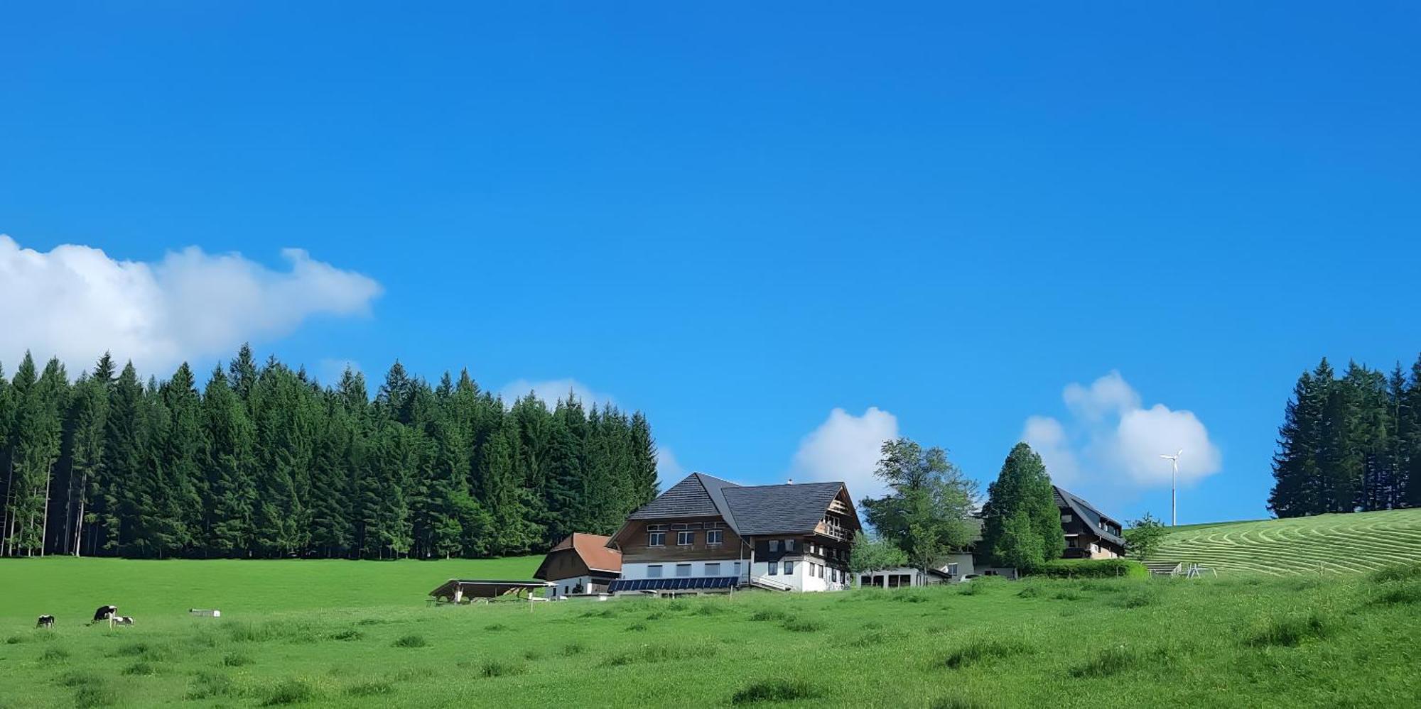 Lorenzenhaeusle Titisee-Neustadt Bagian luar foto