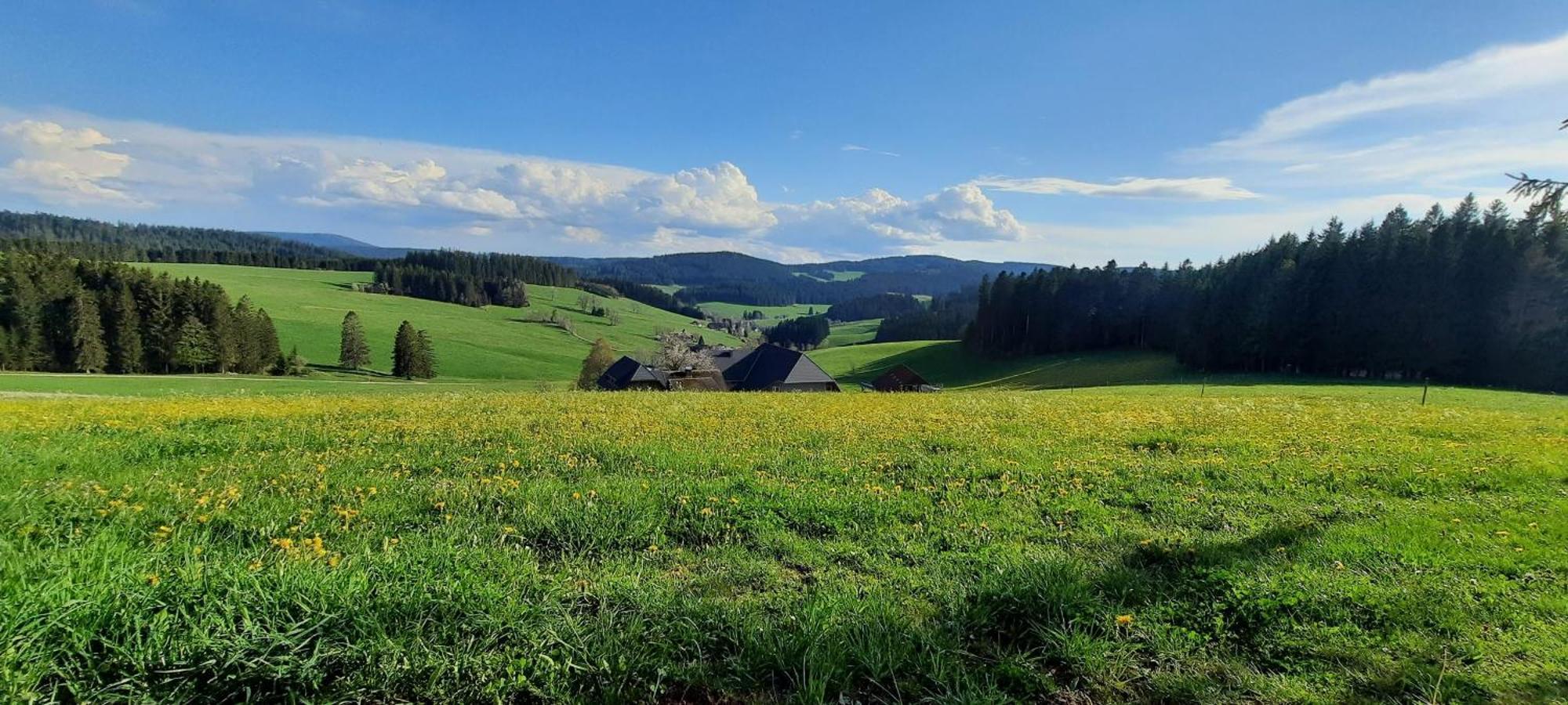 Lorenzenhaeusle Titisee-Neustadt Bagian luar foto