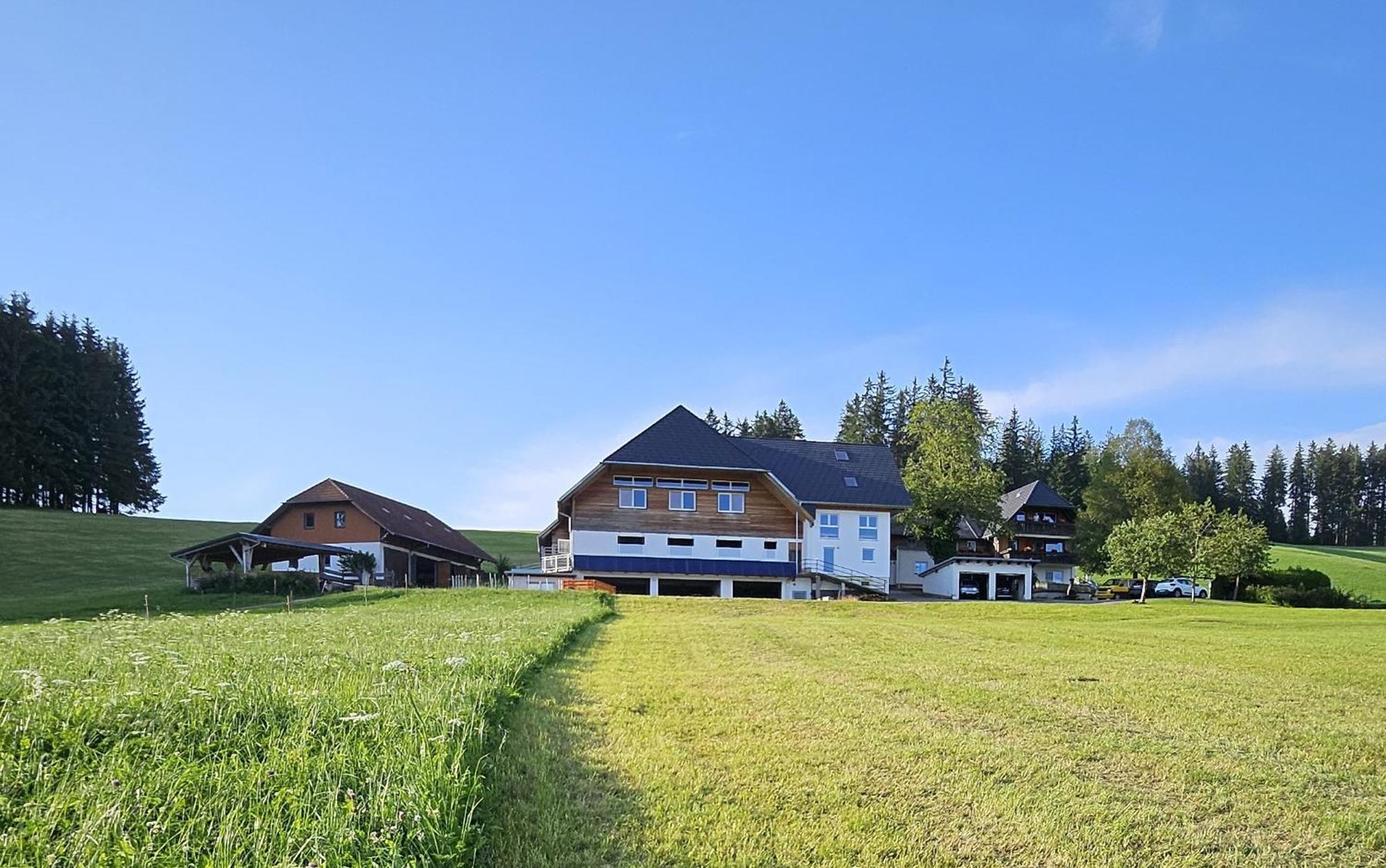 Lorenzenhaeusle Titisee-Neustadt Bagian luar foto