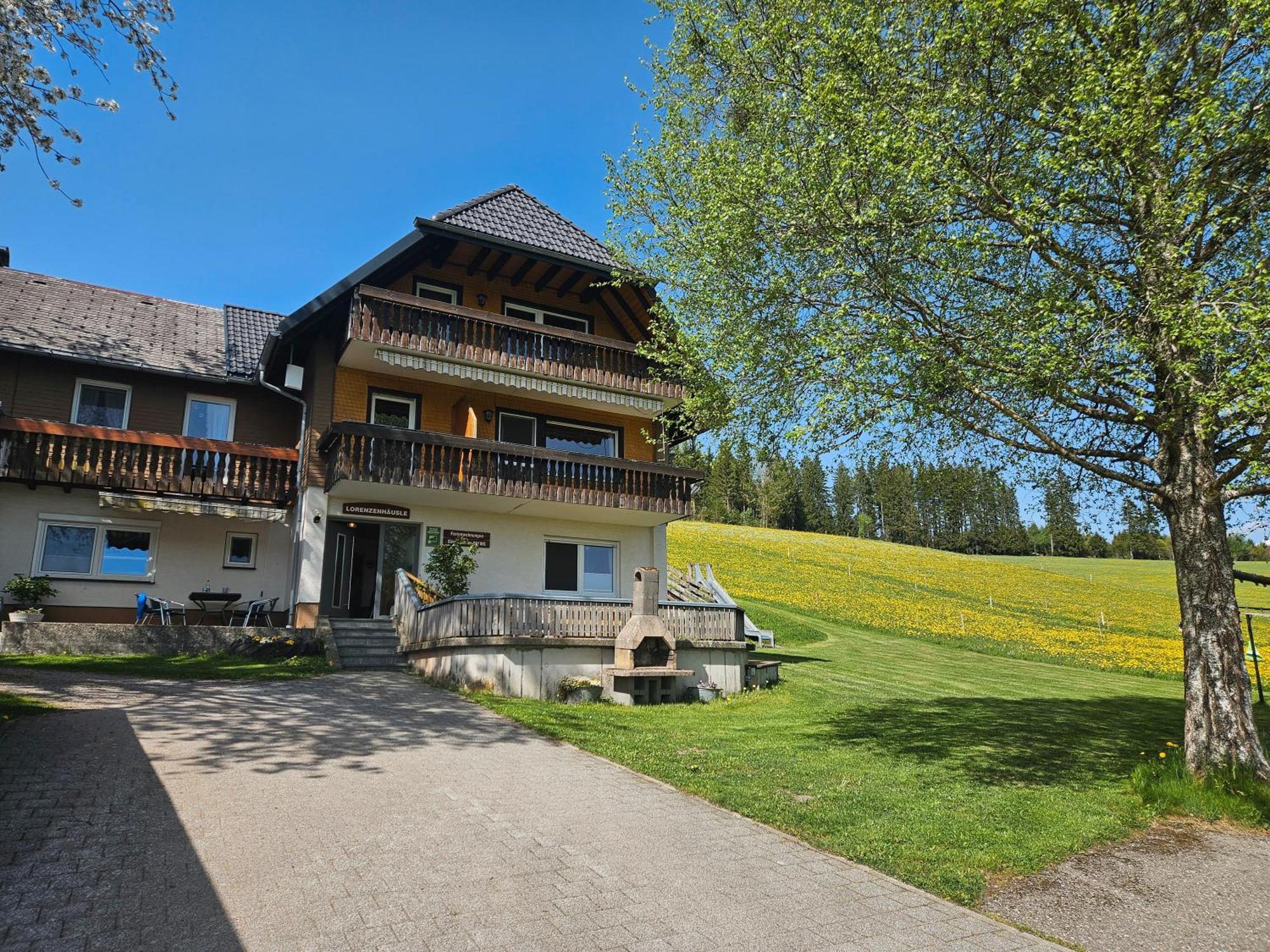 Lorenzenhaeusle Titisee-Neustadt Bagian luar foto