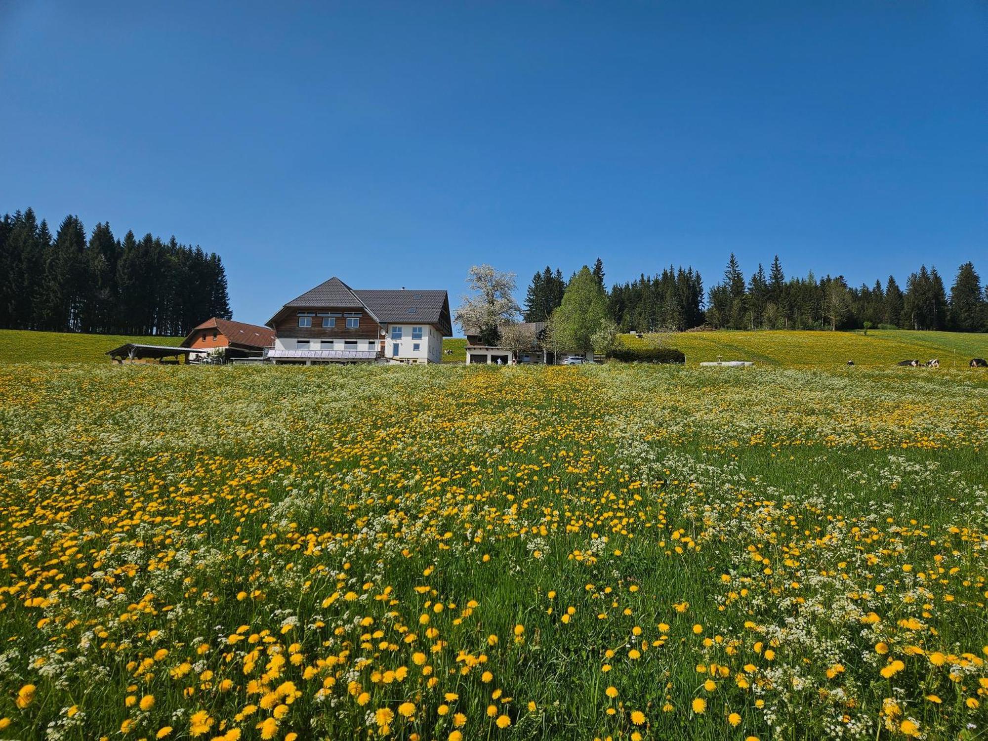 Lorenzenhaeusle Titisee-Neustadt Bagian luar foto